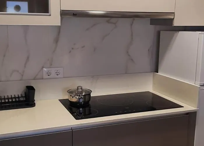 La Gaviota A Estrenar * San Vicente De La Barquera